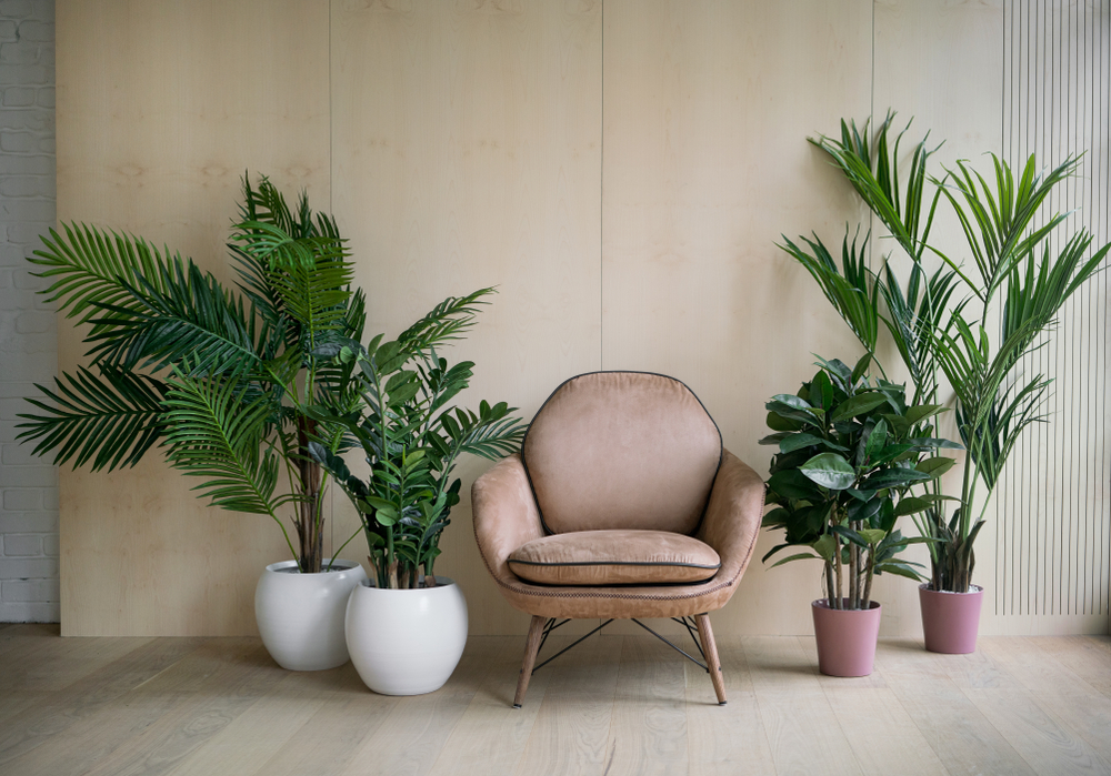 urban jungle